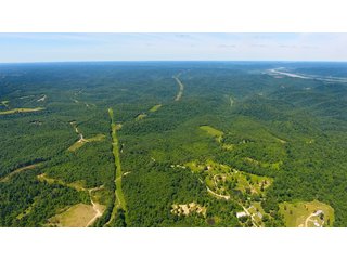 Property photo 14 - LAND AUCTION - 1,682+/- ACRES OFFERED IN 17 TRACTS IN LEWIS & GREENUP COUNTIES, KENTUCKY